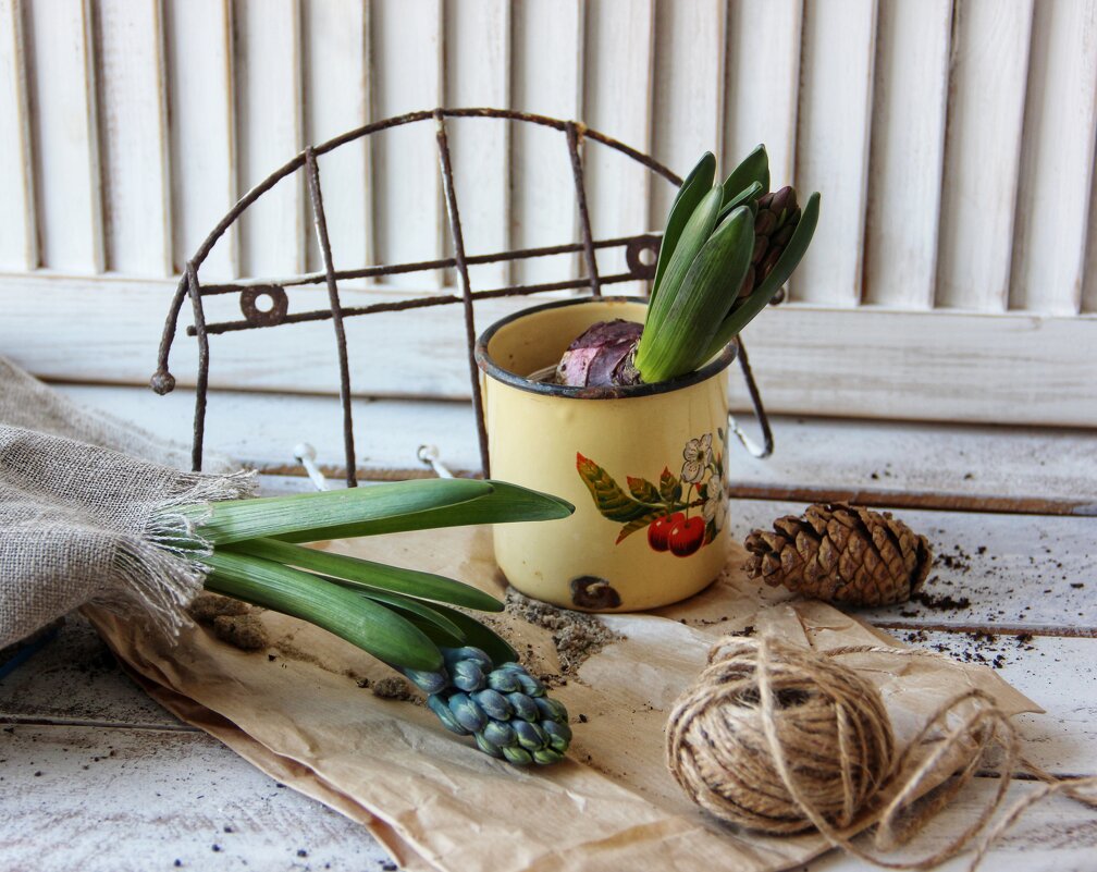 Весна приближается. - Лариса Исаева Весна приближается. - Лариса Исаева