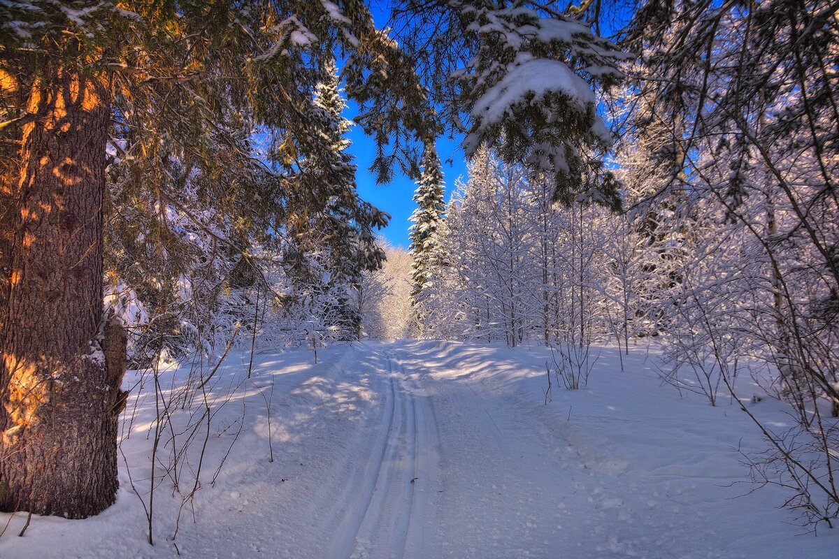 МОРОЗ И СОЛНЦЕ - Владимир Мигонькин
