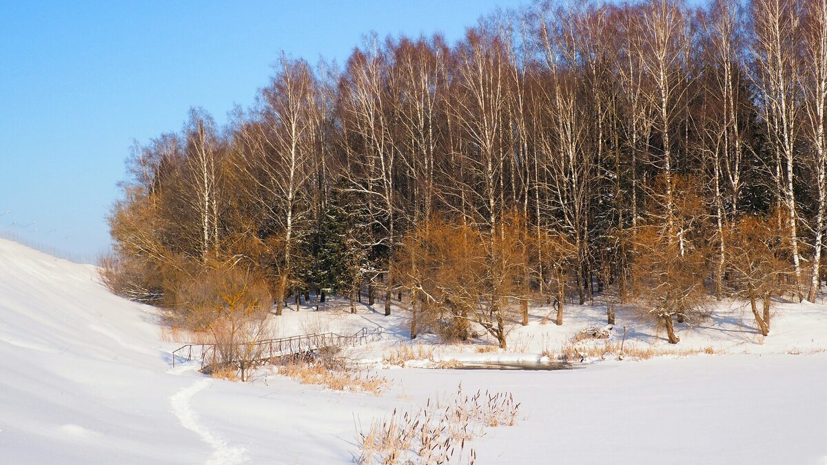 Зимний пейзаж (репортаж из зимней деревни). - Милешкин Владимир Алексеевич 