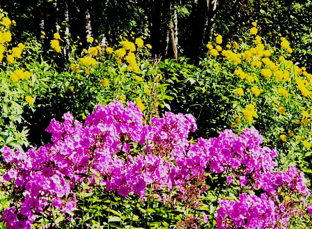 Красота осеннего сада...... - ГЕНРИХ 