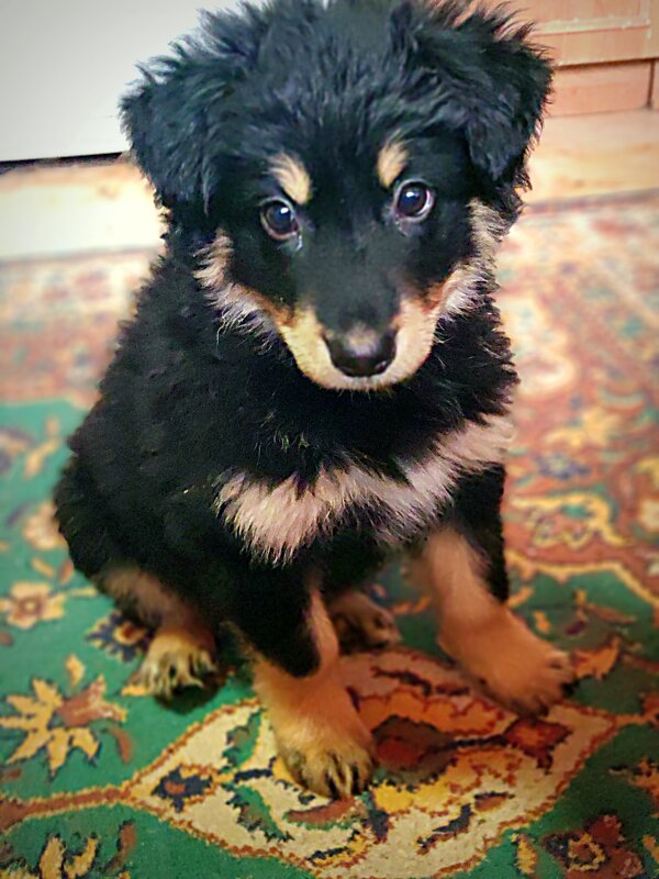 малыш - Любовь малыш - Любовь