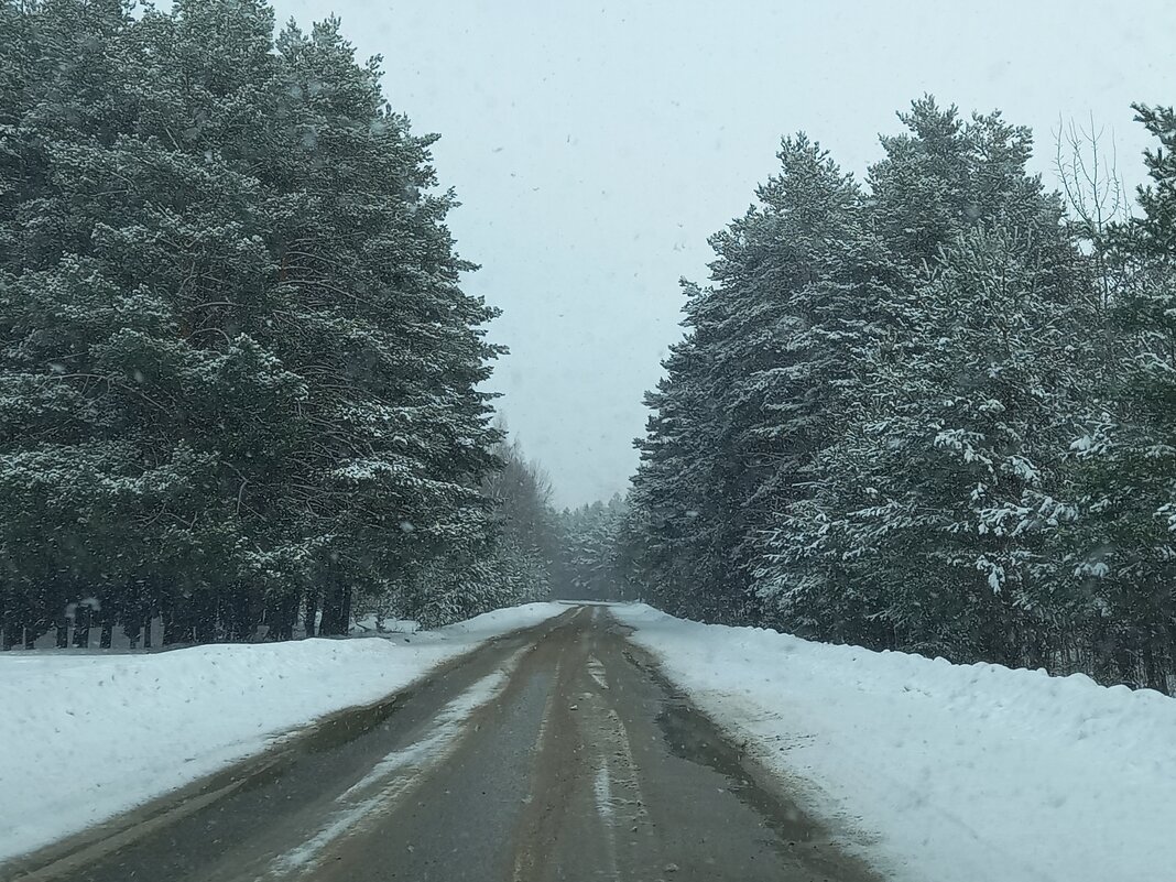 "Дорогой длинною..." - BoxerMak Mak