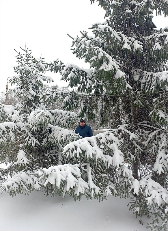 Во дворе , как в тайге - Сеня Белгородский