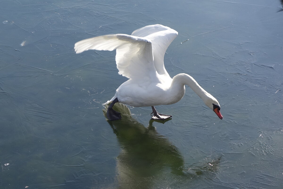 Побежал дальше... - Маргарита Батырева Побежал дальше... - Маргарита Батырева