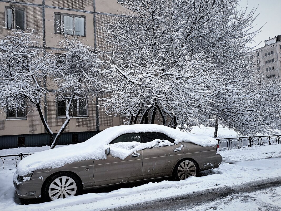 3 марта 2023 г - Виктор Никитенко