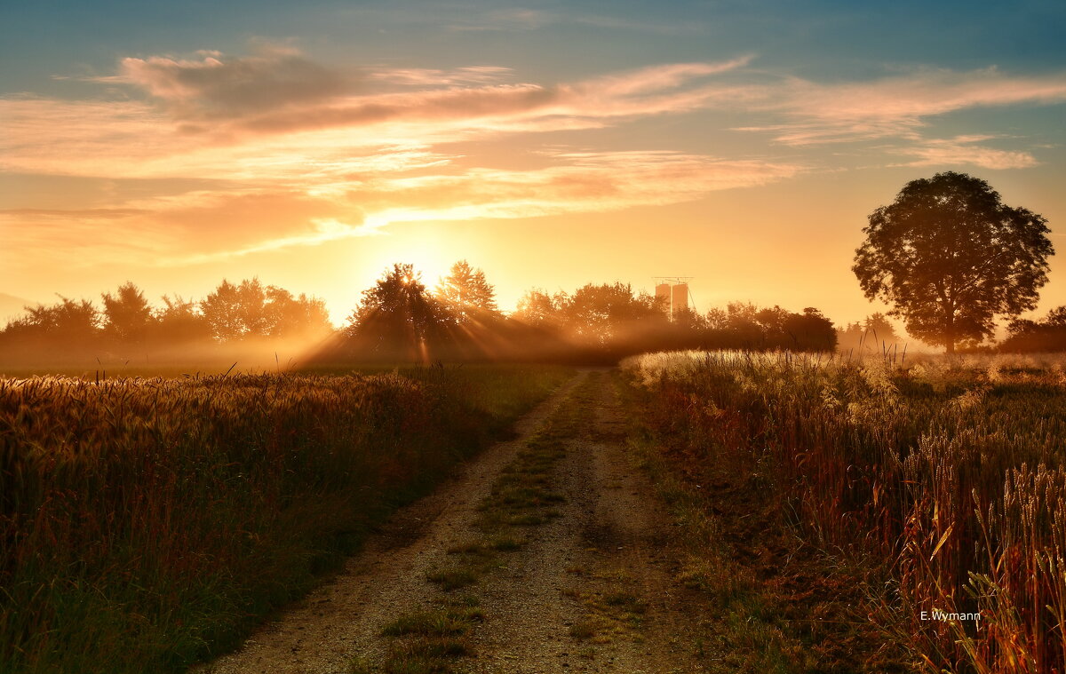 sunrise - Elena Wymann