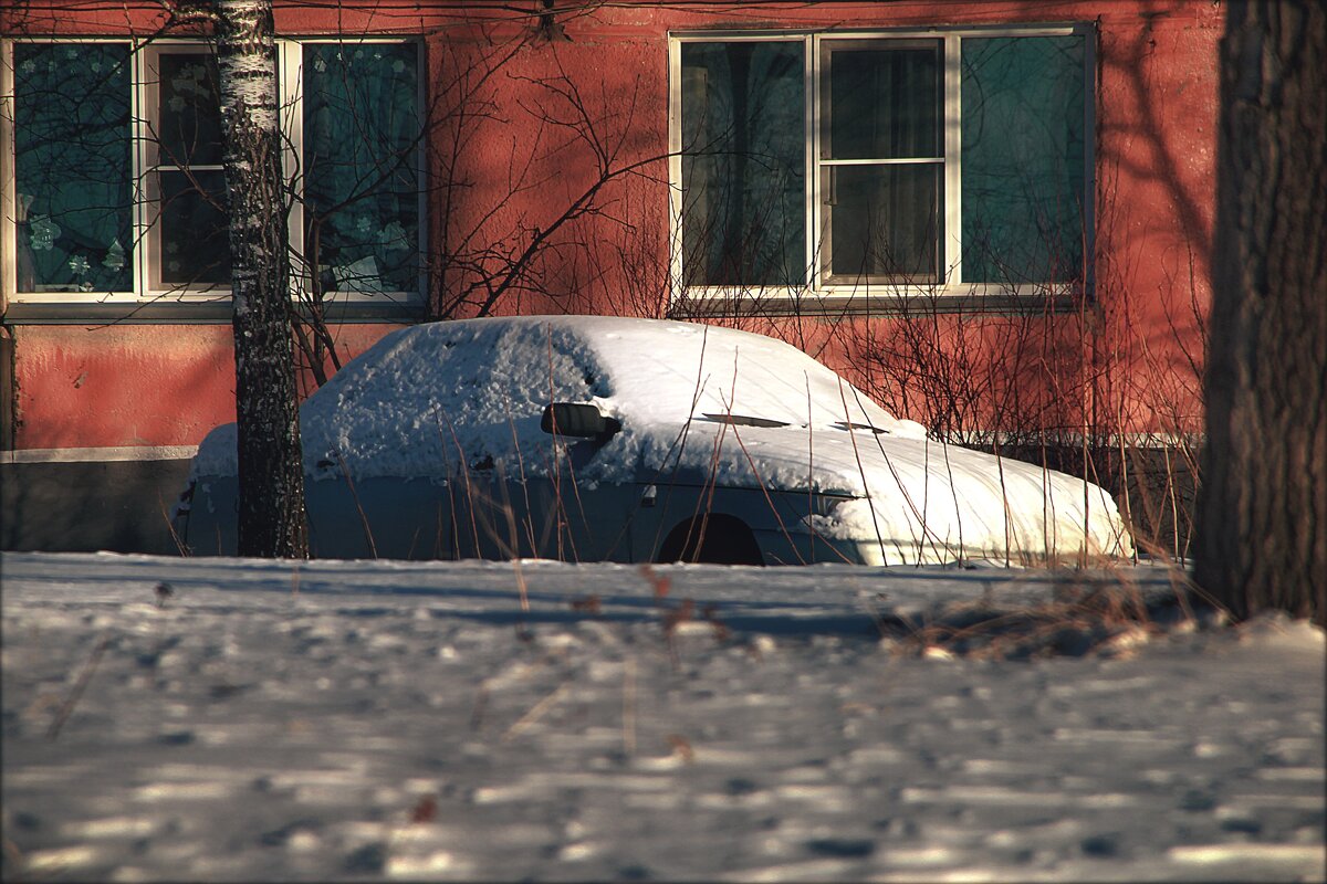 Подснежник... - Александр Шимохин Подснежник... - Александр Шимохин