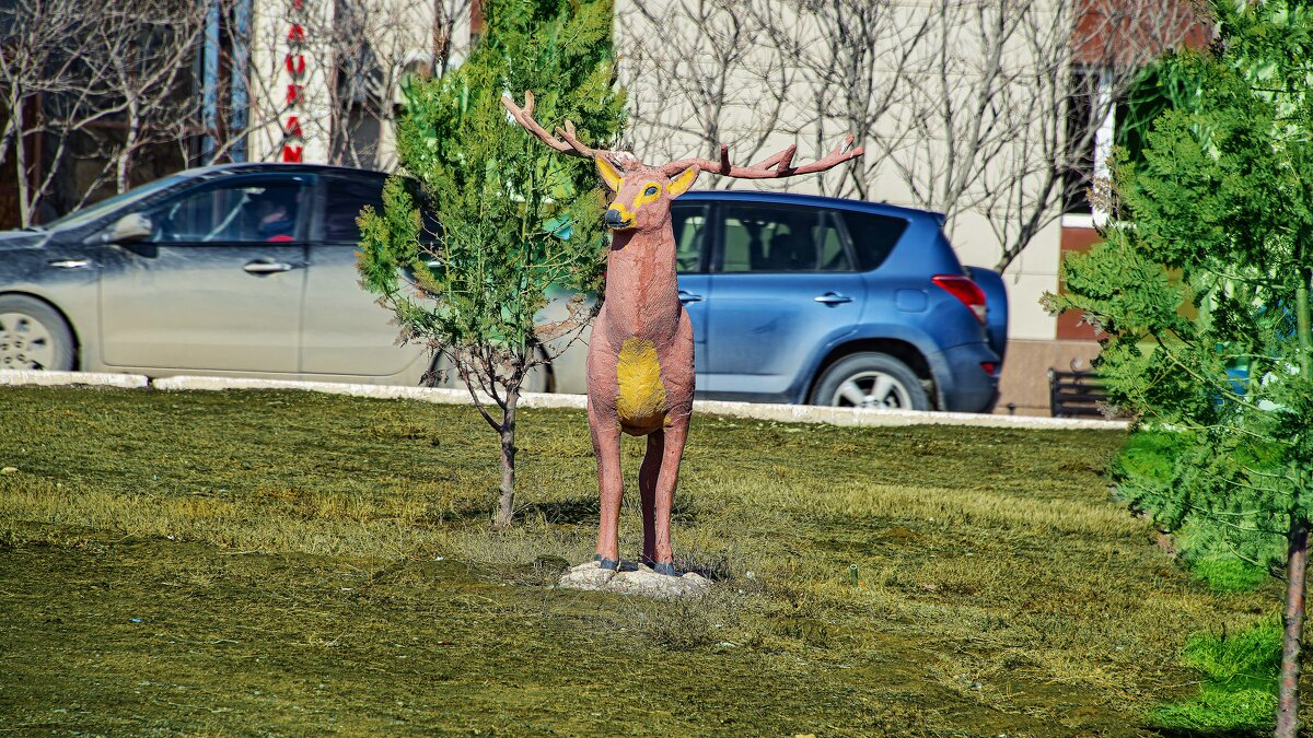 Один в городе - Анатолий Чикчирный