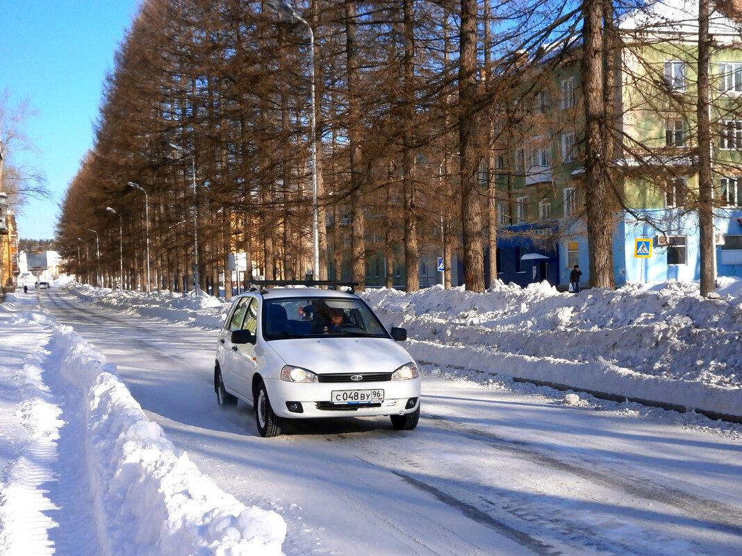 Центральная аллея в марте - Алевтина 