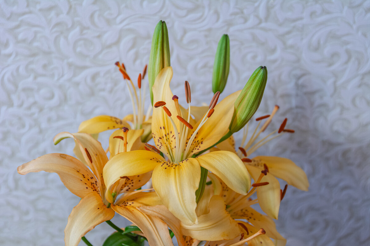 *** - Виктор Иванович Чернюк