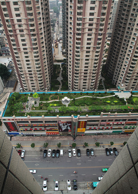 Затерянный мир - Владимир КРИВЕНКО