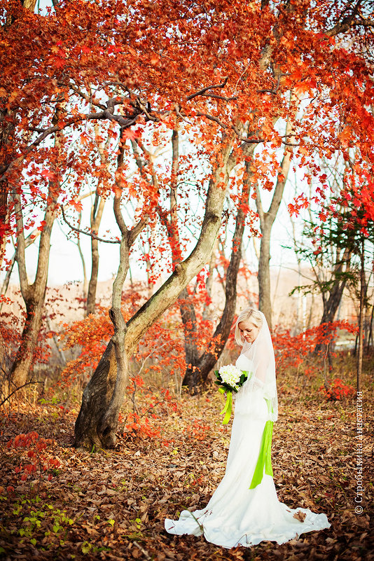 Елена - Анастасия Стробыкина Елена - Анастасия Стробыкина