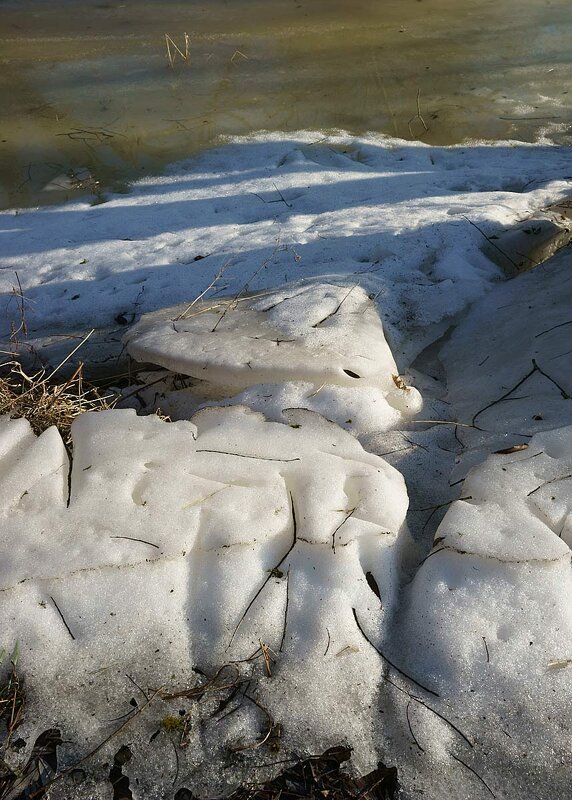 Утро на берегу - Сергей Курников Утро на берегу - Сергей Курников