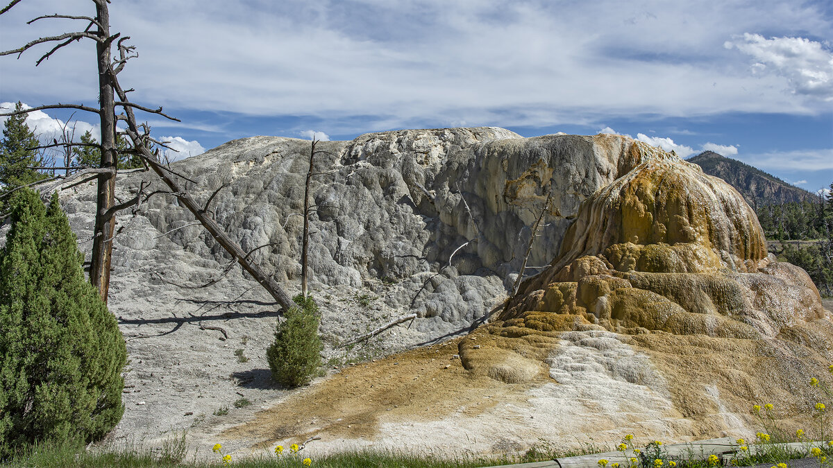 "камень" придорожный.  Mammoth Hot Springs. - Petr @+