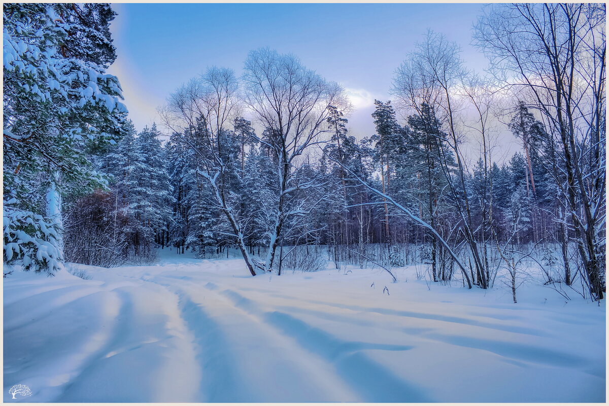 **** - Дмитрий Янтарев **** - Дмитрий Янтарев