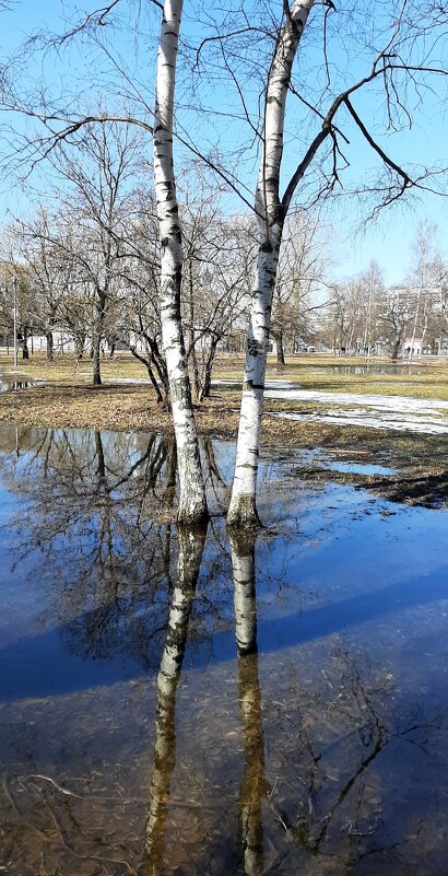 Апрель - Наталья Герасимова