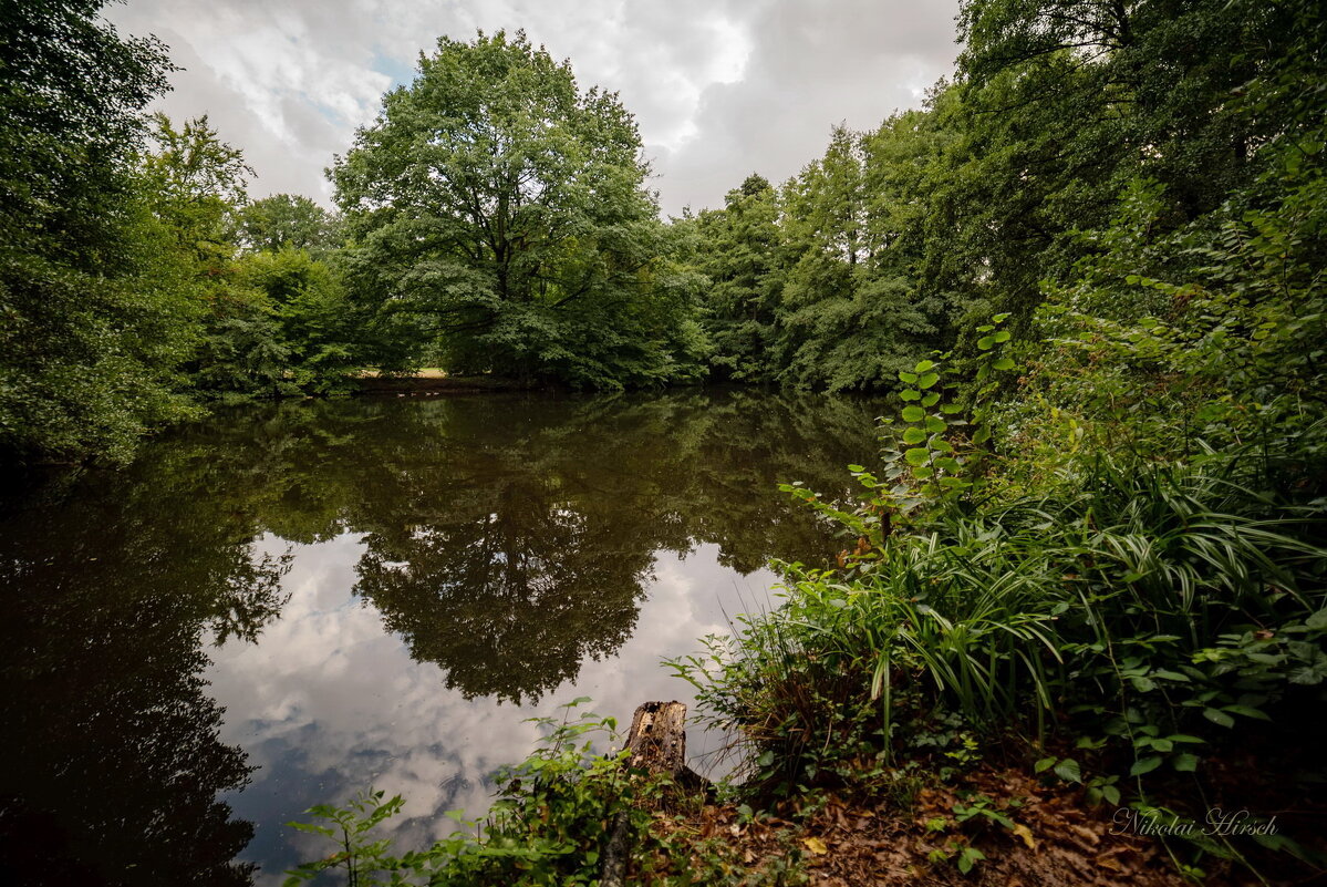 *** - Николай Гирш