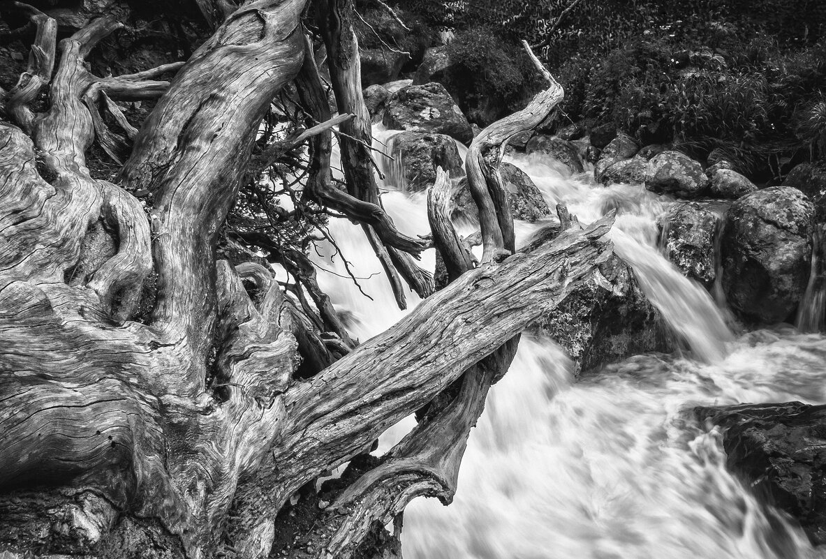 * - Константин Подольский * - Константин Подольский