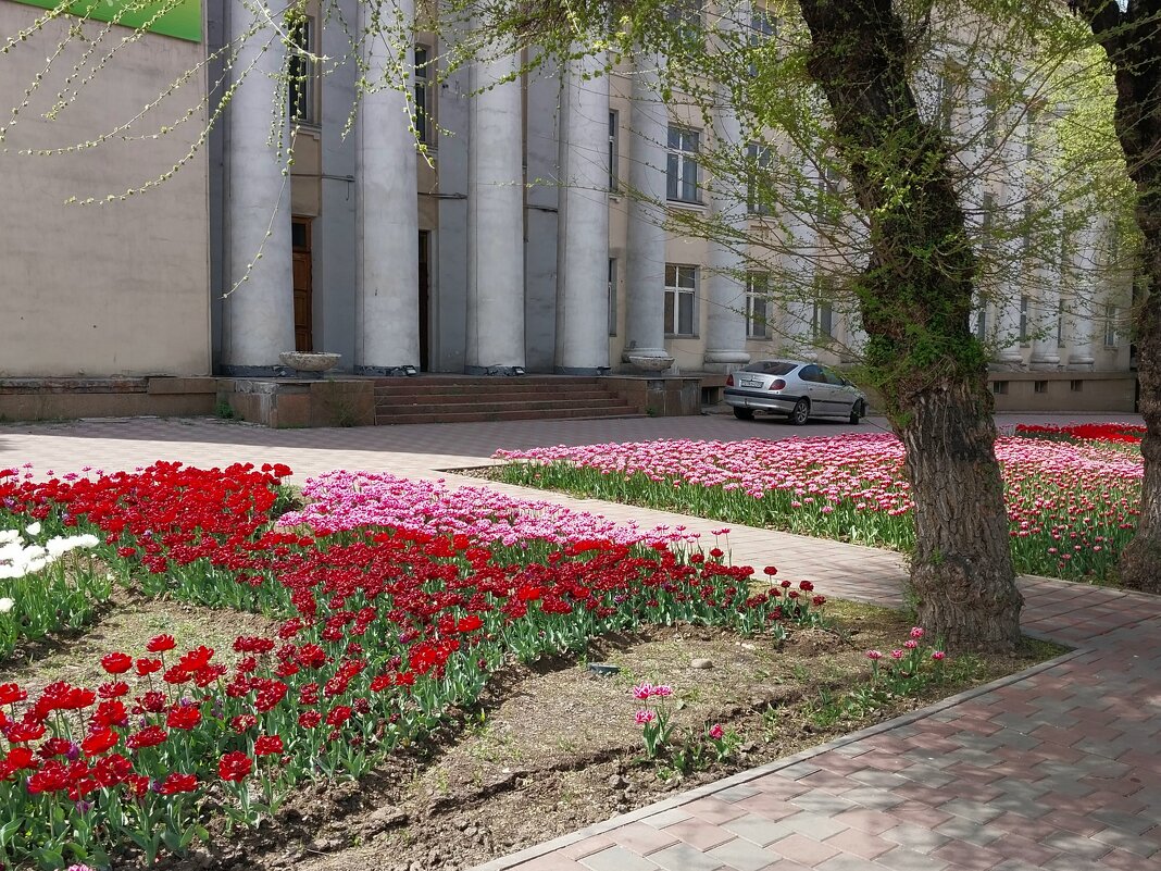 Almaty. - Murat Bukaev 