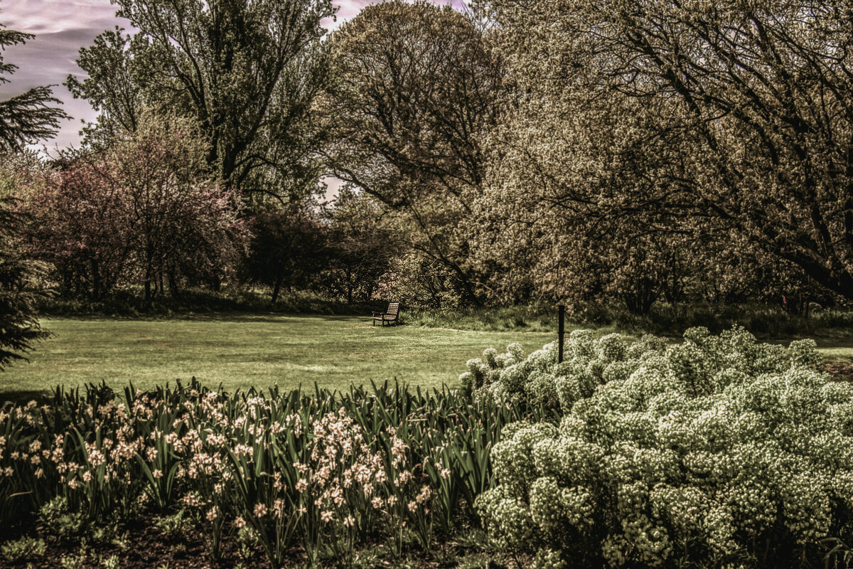 И лишь деревья будут вечно, бесконечно, Год от года стоять - Александр Липовецкий