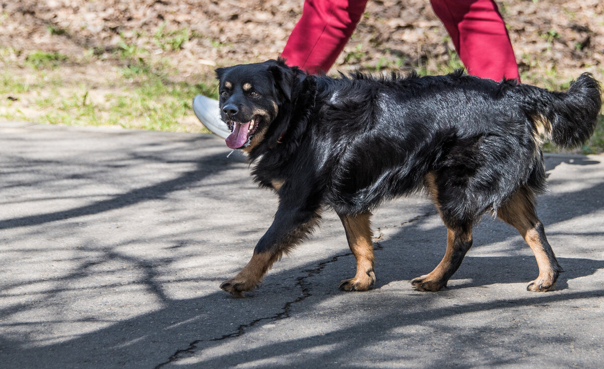"Всё, всё, братан, я понял - ты в охране. Близко не подхожу..." - Владимир Безбородов "Всё, всё, братан, я понял - ты в охране. Близко не подхожу..." - Владимир Безбородов