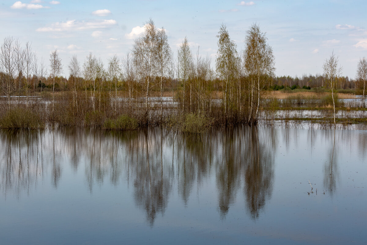 Половодье. - Сергей Татаринов