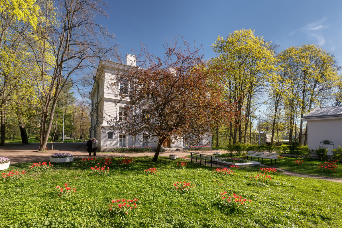 Про Питер - Владимир Колесников