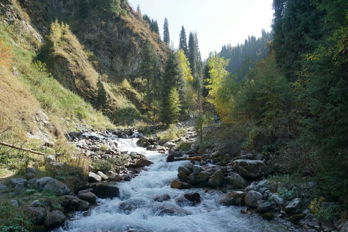 Almaty - Murat Bukaev 