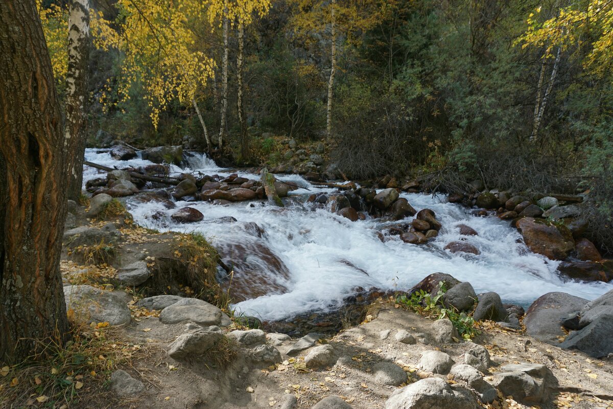 Almaty. - Murat Bukaev 