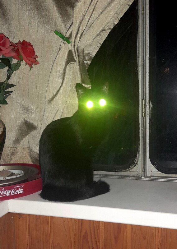 У моей милашки , глазки фонари ! - Мила Бовкун У моей милашки , глазки фонари ! - Мила Бовкун