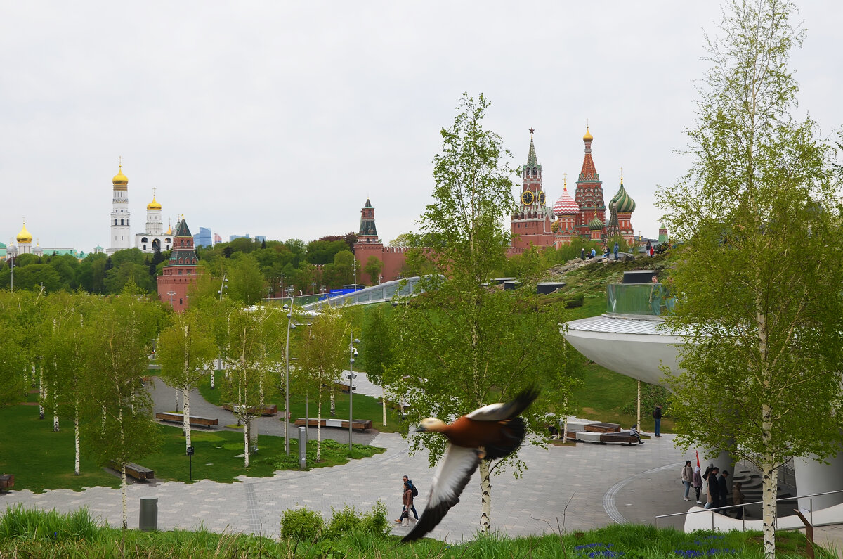 Москва. Весна. Парк Зарядье. - Наташа *****