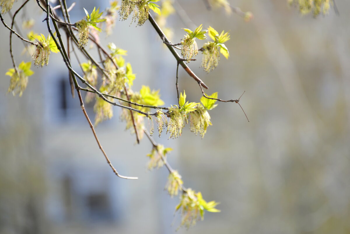 9 мая 2023 - Алексей Короткевич