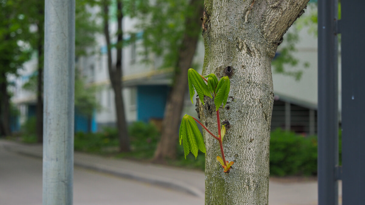 ***** - юрий поляков