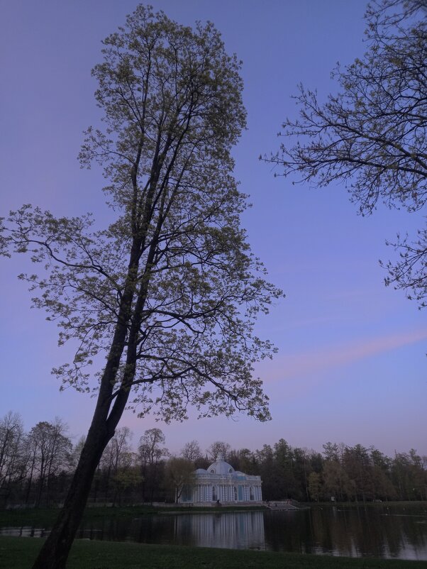 Закат - Сапсан 