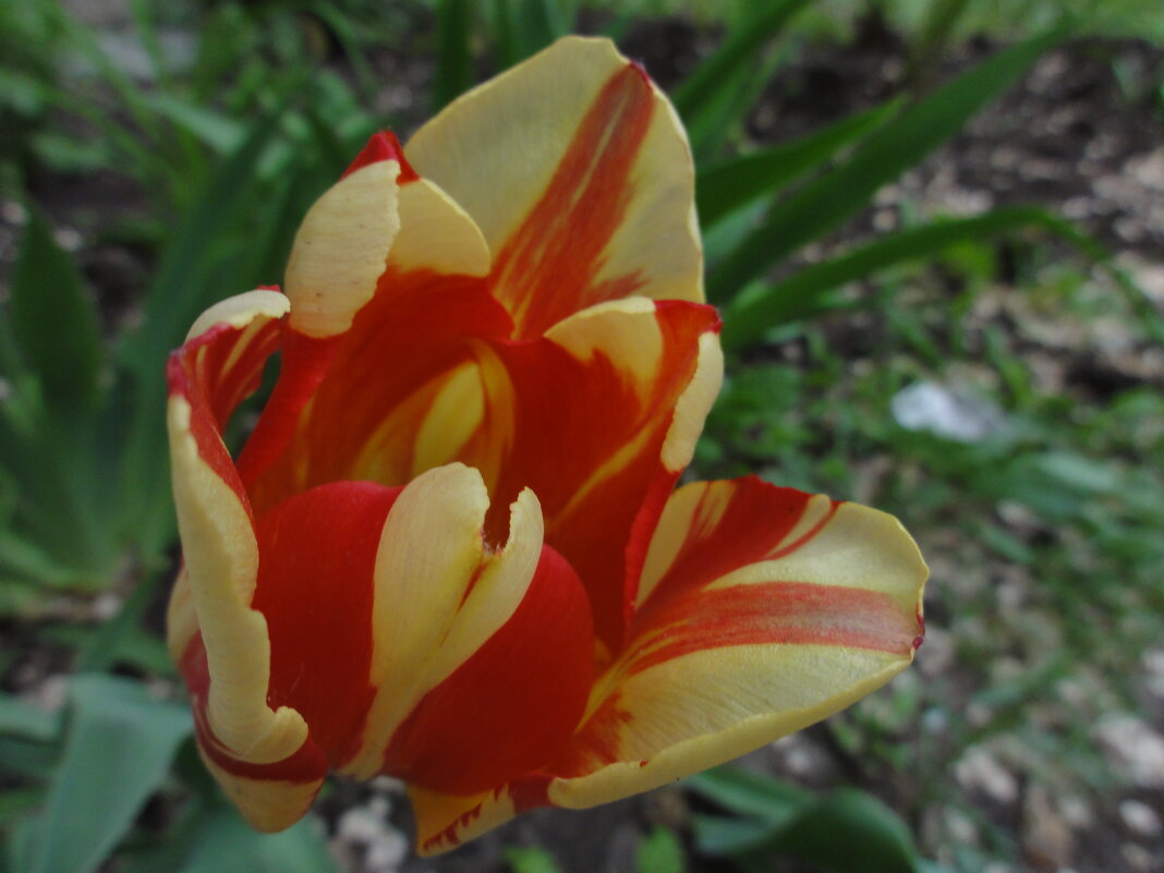 ... - марина ковшова 