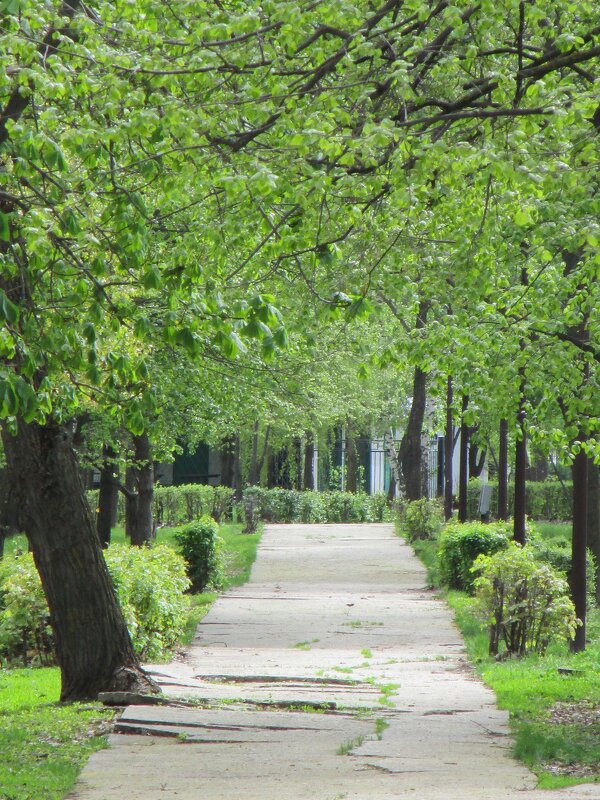 апрель - Елена Шаламова