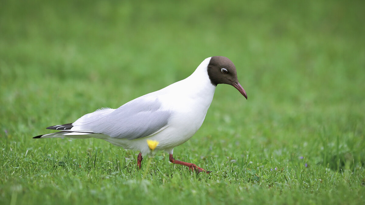 - - Сергей - - Сергей