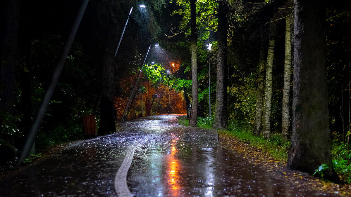 Осенняя аллея. - Владимир Лазарев