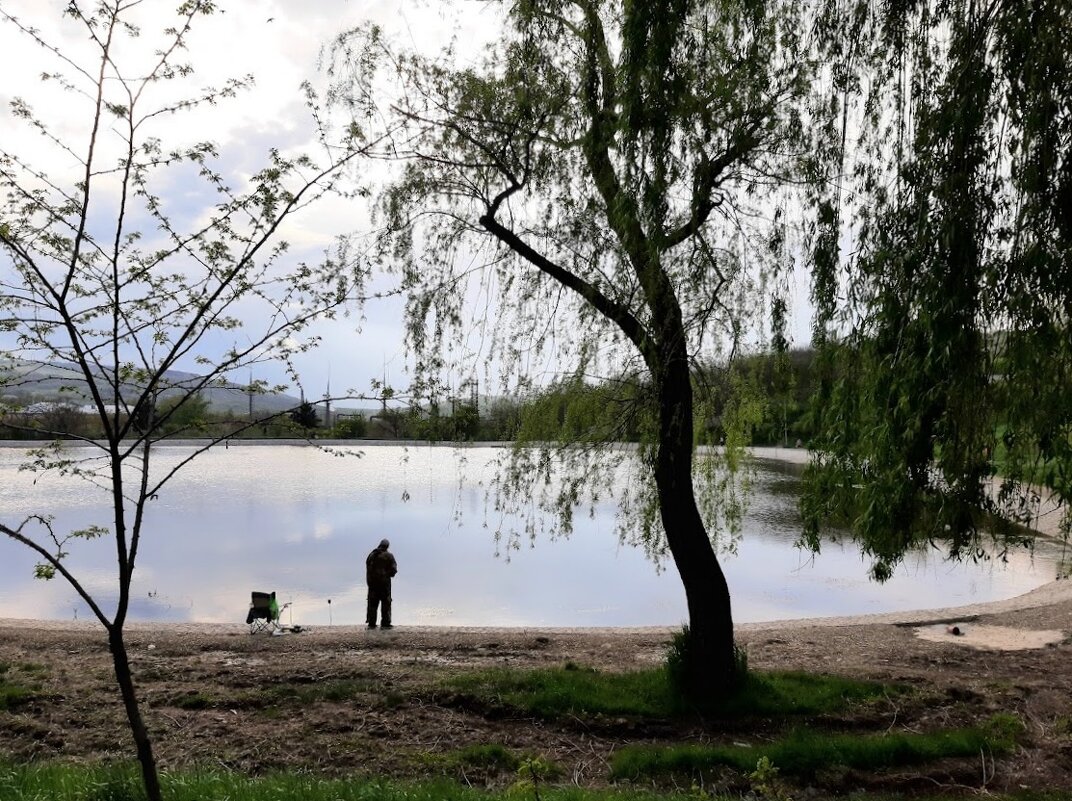 Железноводск. Городское озеро - Tata Wolf