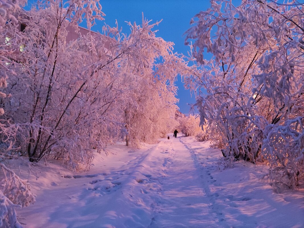 Зима в городе - Anna Ivanova