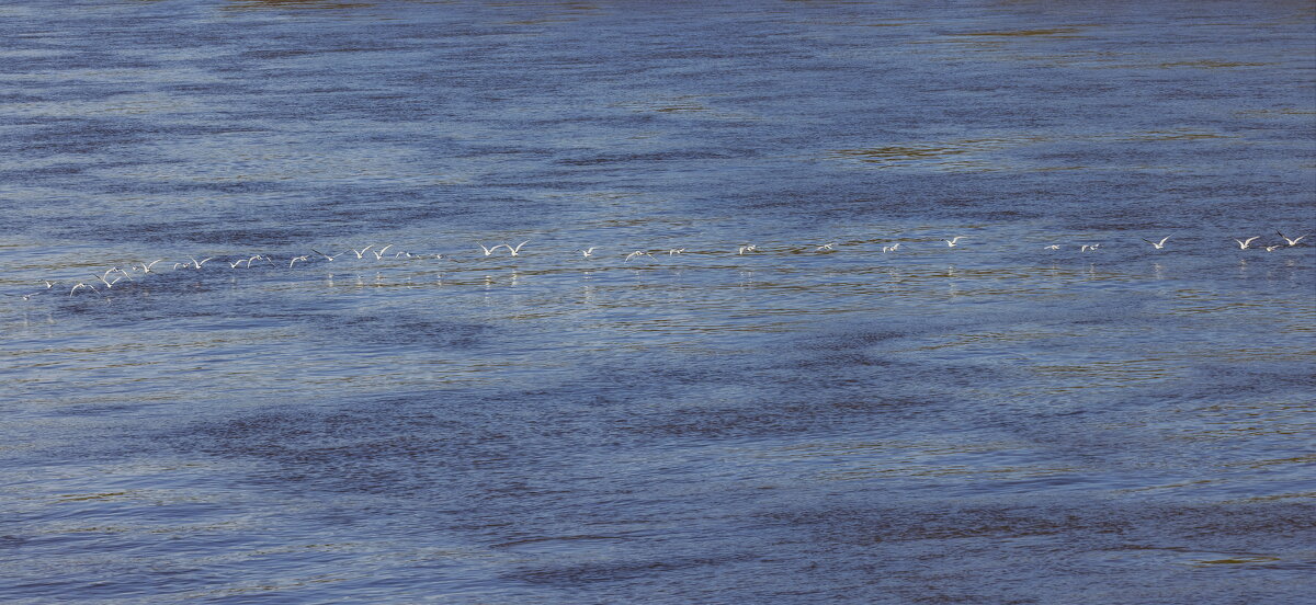 путешествие по рекам волга,кама, вятка,белая. уфа. - юрий макаров путешествие по рекам волга,кама, вятка,белая. уфа. - юрий макаров