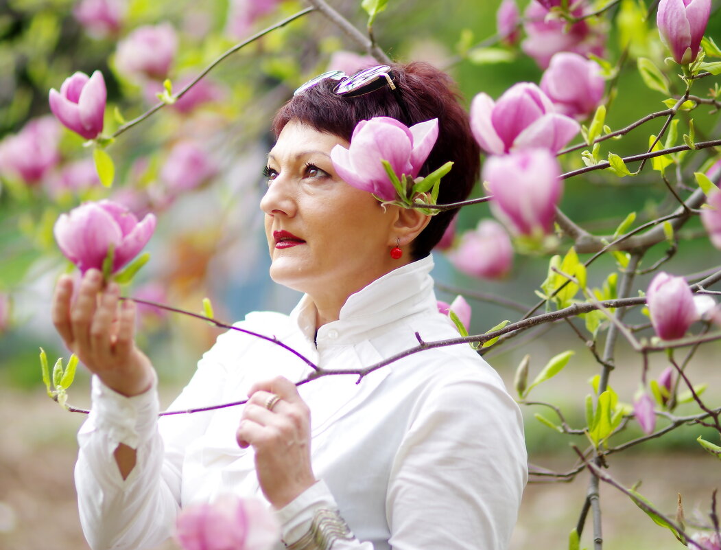 Магнолии - Лана 