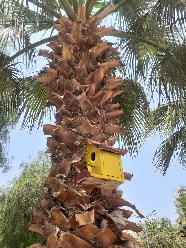 Mersin. - Murat Bukaev 