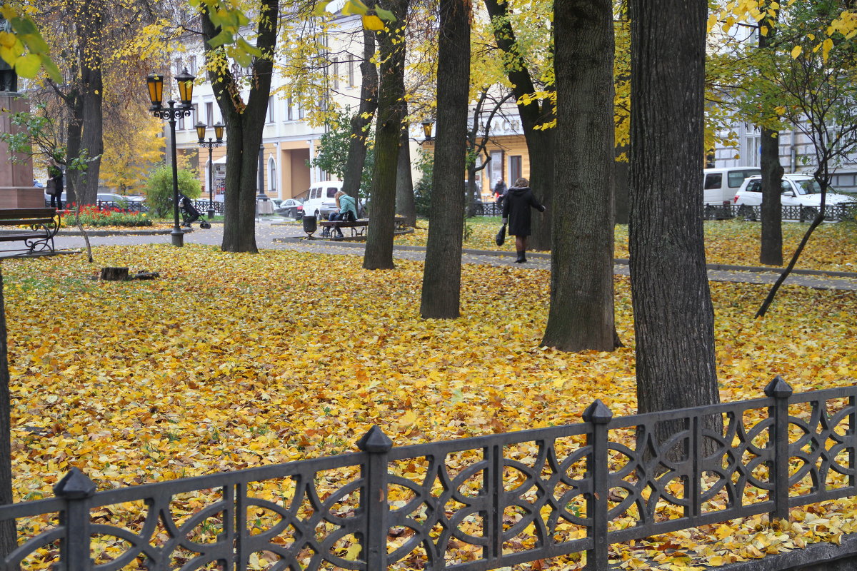 городской сюжет - valeriy g_g