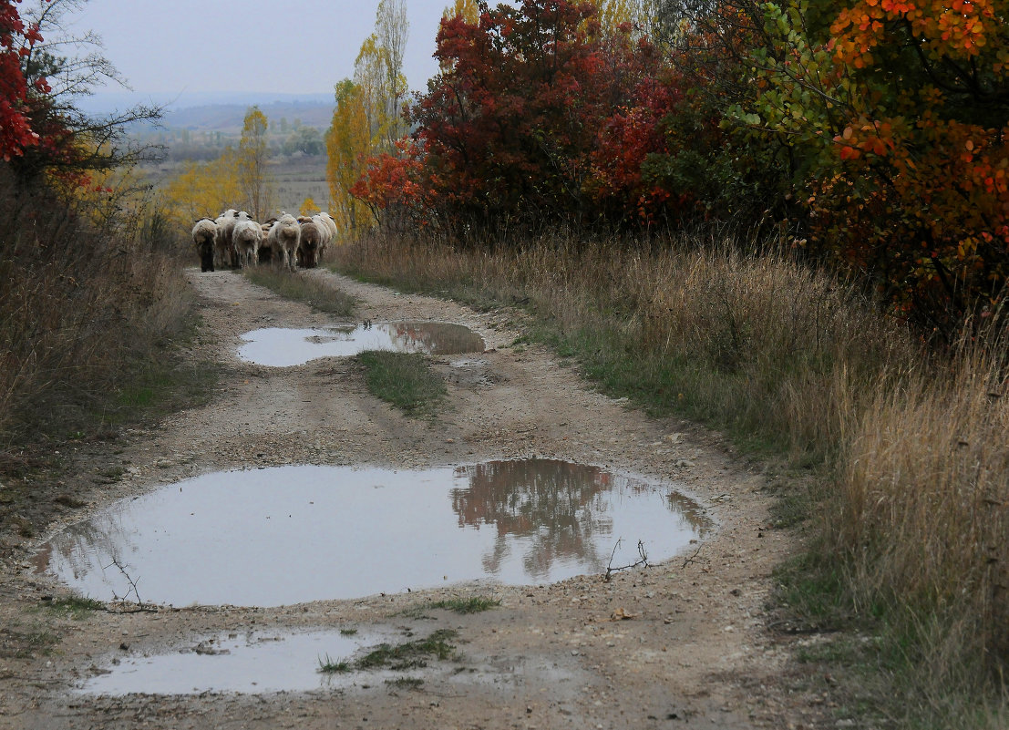 Осень в степном Крыму - Игорь Юрьев