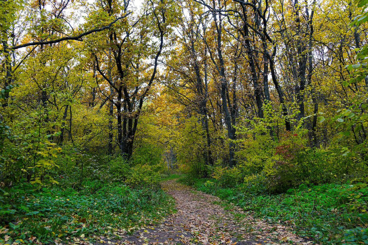 HDR foto - Юрий Стародубцев