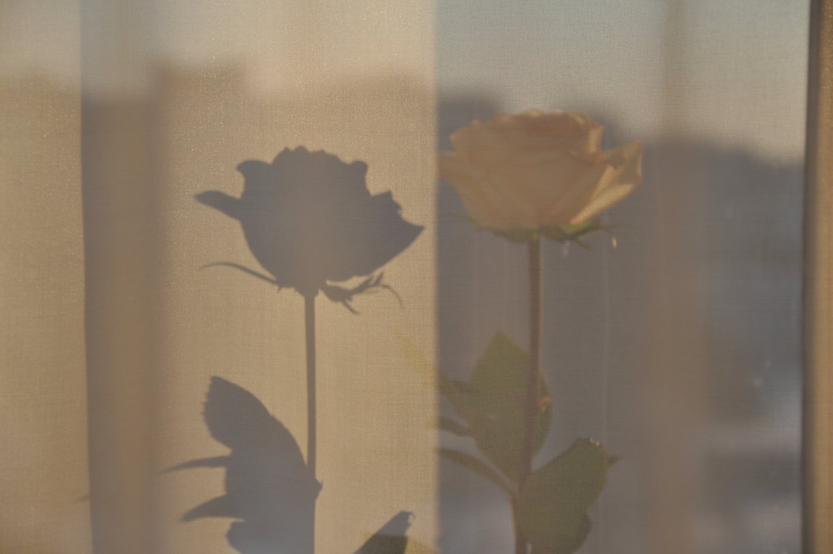 Смотрюсь в тебя, как в зеркало - Светлана Смотрюсь в тебя, как в зеркало - Светлана