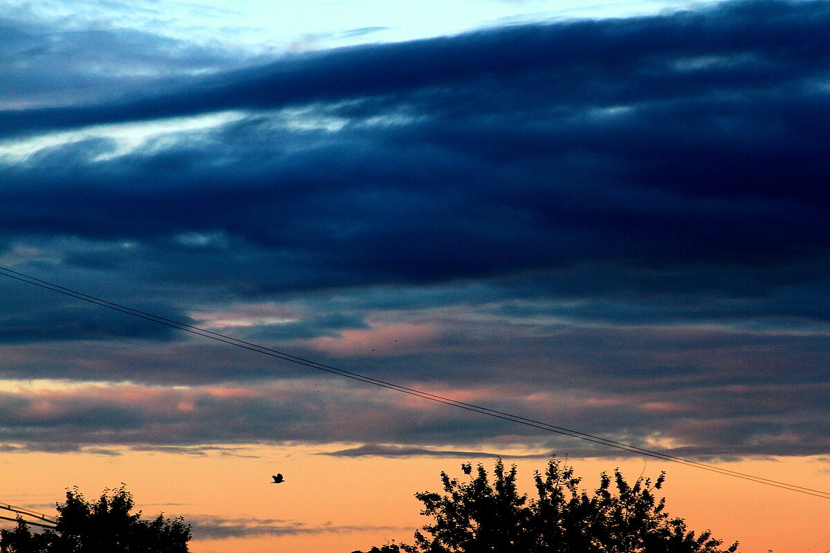 И мне летать охота... - олег свирский И мне летать охота... - олег свирский