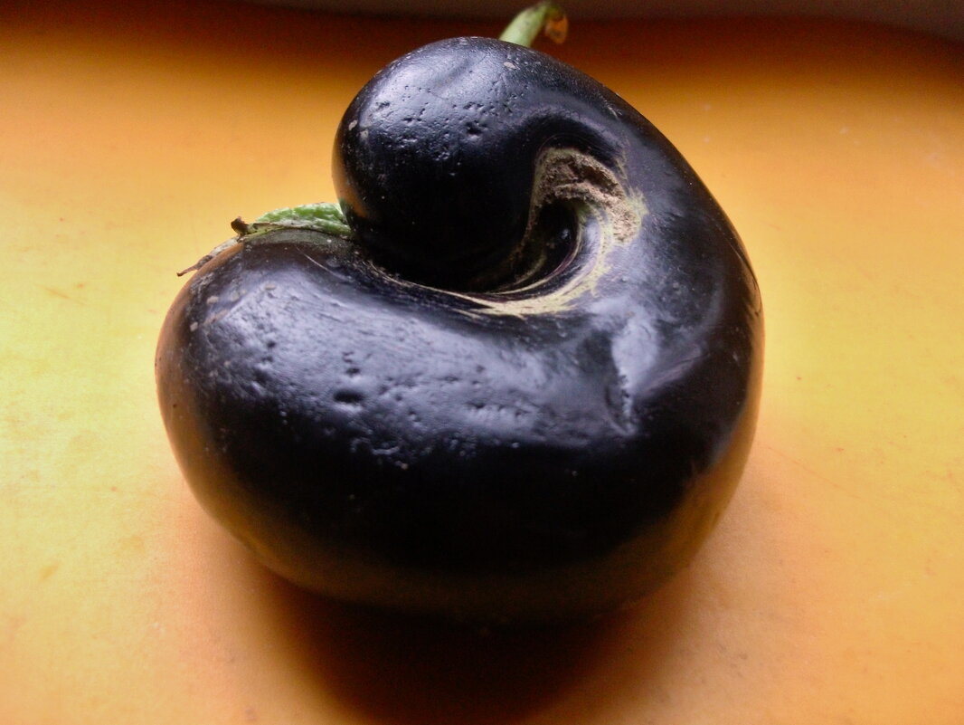 Спится сладко,сладко... - Milocs Морозова Людмила Спится сладко,сладко... - Milocs Морозова Людмила