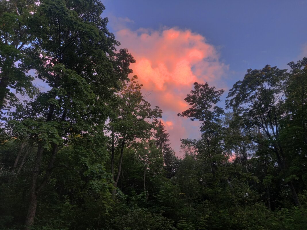 Закат - Сапсан 